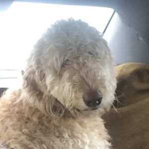 Meet your Posher, Jonathan